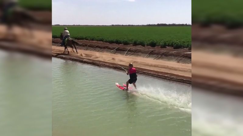 Koňská vodní lyžovačka jako odměna pro farmářského synka
